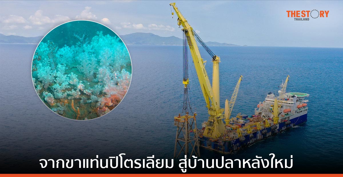 เปิดผลสำเร็จ 2 ปี โครงการนำร่อง Rigs-to-Reefs พลิกบทบาทขาแท่นปิโตรเลียม สู่บ้านปลาหลังใหม่ใต้ทะเล