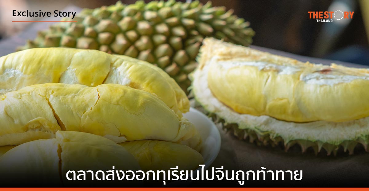 เมื่อ "ตลาดส่งออกทุเรียนไปจีน" ของไทย ถูกท้าทาย