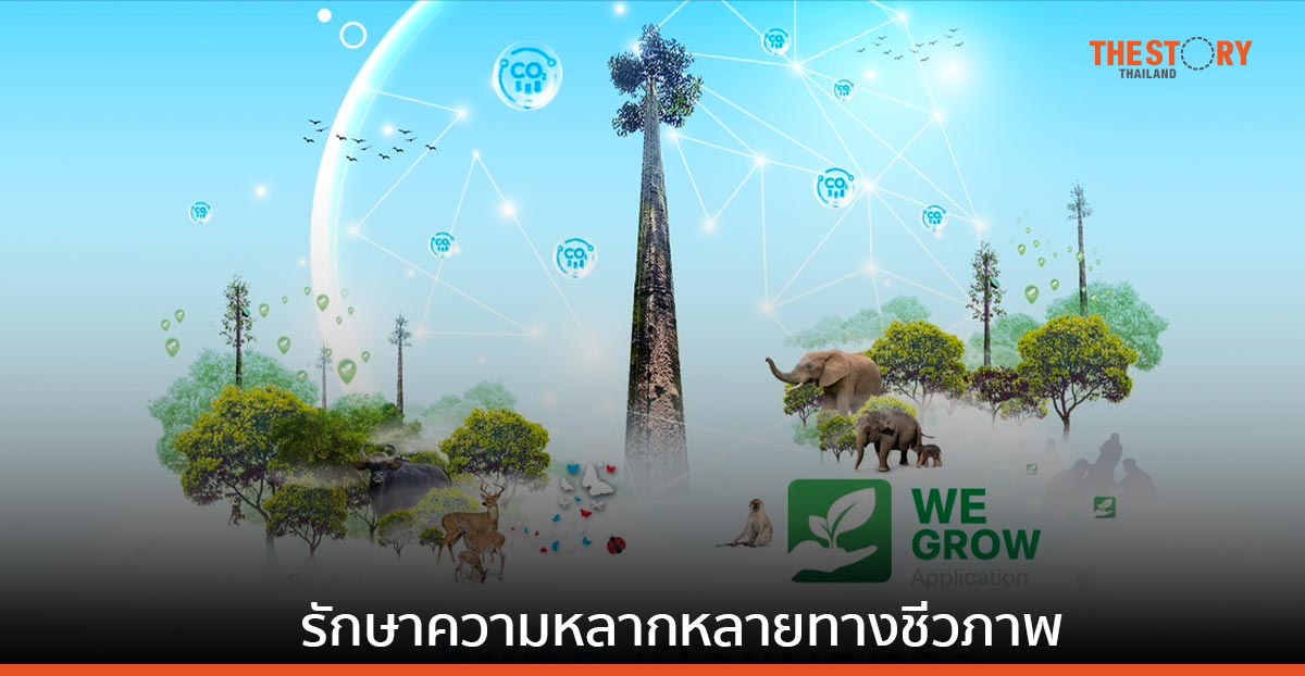 ทรู-ดีแทค เปิดแนวทางรักษาความหลากหลายทางชีวภาพ รอบเสาสัญญาณครอบคลุมทุกพื้นที่