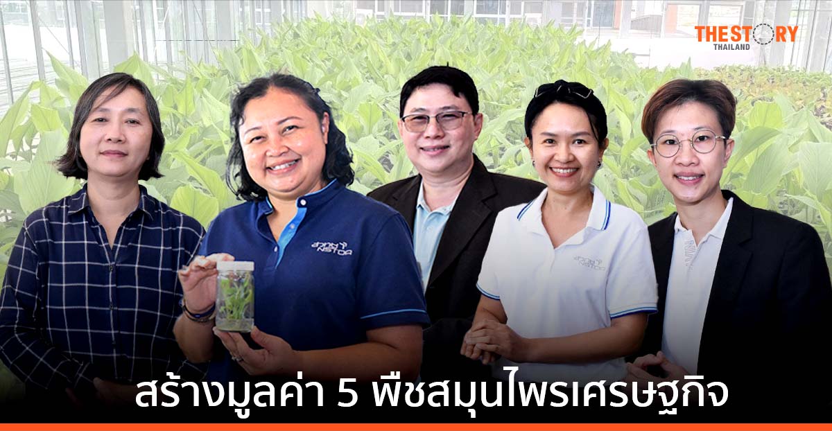 นักวิจัยไบโอเทค สร้างมูลค่า 5 พืชสมุนไพรเศรษฐกิจ เชื่อมโยงพันธมิตรสู่เกษตรสมัยใหม่ ผ่านเขตนวัตกรรม EECi