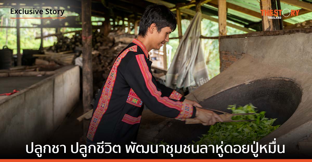 ปลูกชา ปลูกชีวิต พัฒนาชุมชนลาหู่ดอยปู่หมื่น สู่ชุมชนต้นแบบสร้างสังคม เศรษฐกิจ สิ่งแวดล้อมแบบยั่งยืน