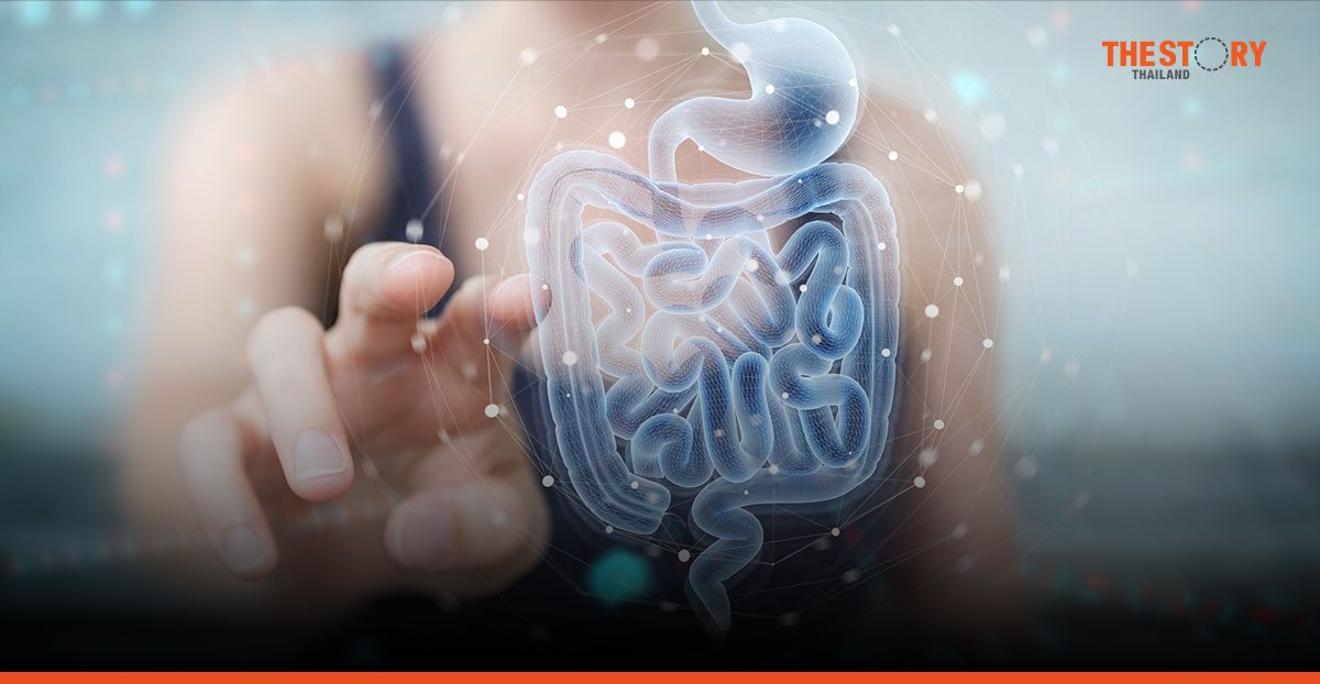 BENEO’s new consumer survey demonstrates promising market potential for Prebiotics in Thailand