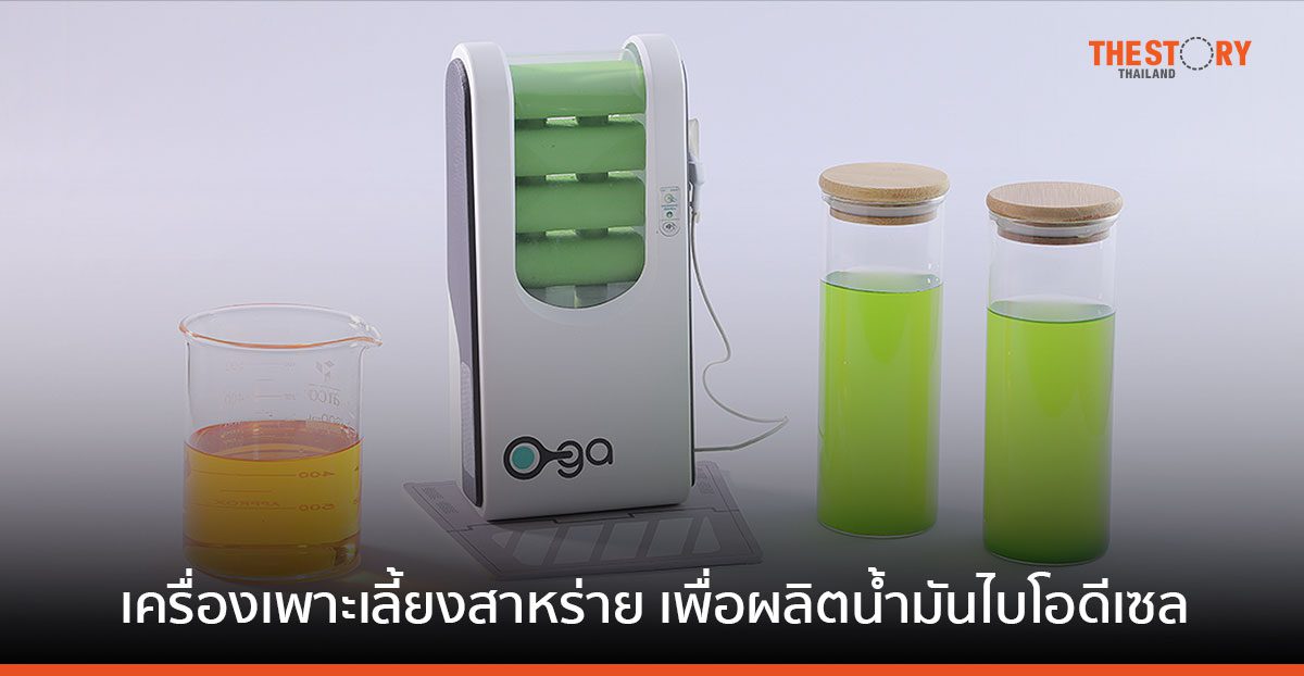 O-GA เครื่องเพาะเลี้ยงสาหร่ายเพื่อผลิตน้ำมันไบโอดีเซล ผลงานเด็กไทยคว้ารางวัล James Dyson Award 2566