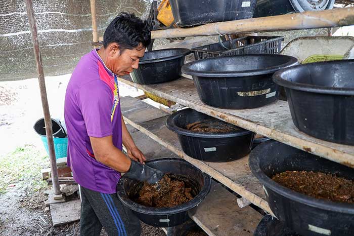 ปุ๋ยสำหรับปลูกต้นไม้ และพืชผัก