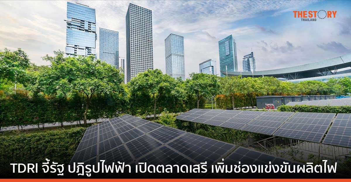 TDRI จี้รัฐ ปฎิรูปไฟฟ้า หนุนพลังงานสะอาด เปิดตลาดเสรีเพิ่มช่องแข่งขันผลิตไฟ