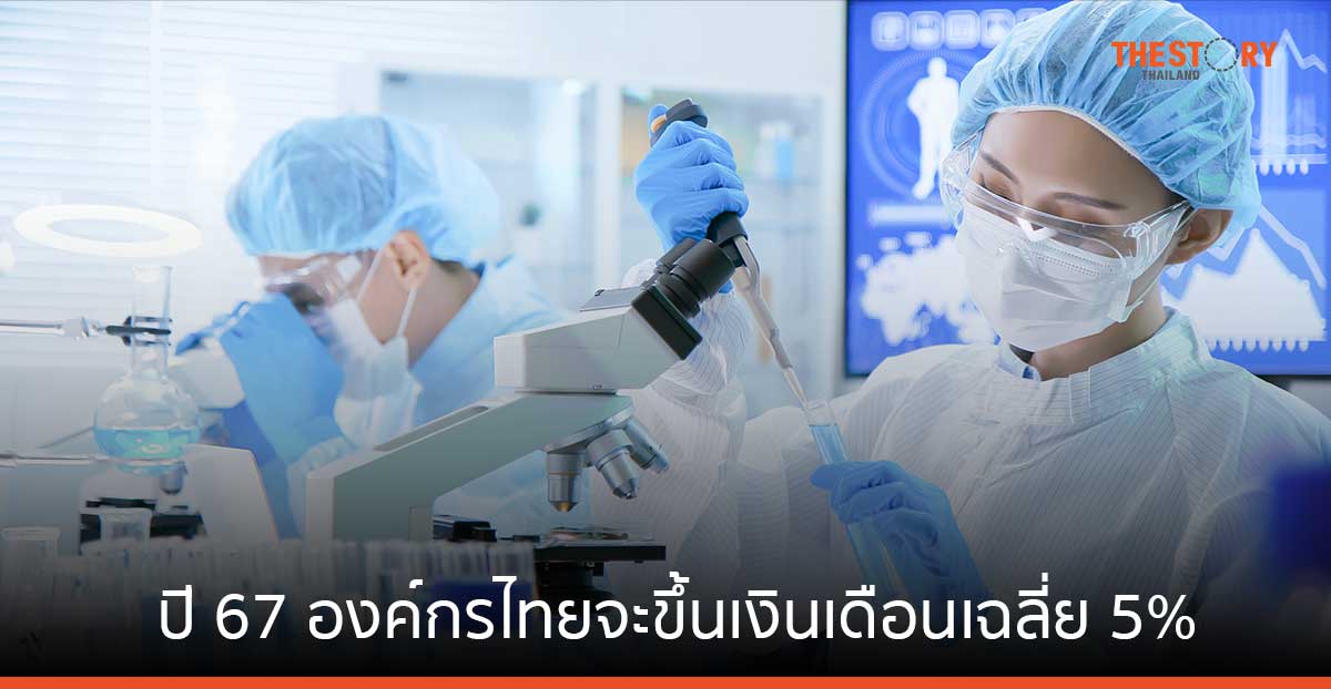 เมอร์เซอร์ เผยปี 67 องค์กรไทยจะขึ้นเงินเดือนเฉลี่ย 5% ‘วิทย์ฯสุขภาพ – เทคขั้นสูง – ยานยนต์’ โอกาสสูงสุด
