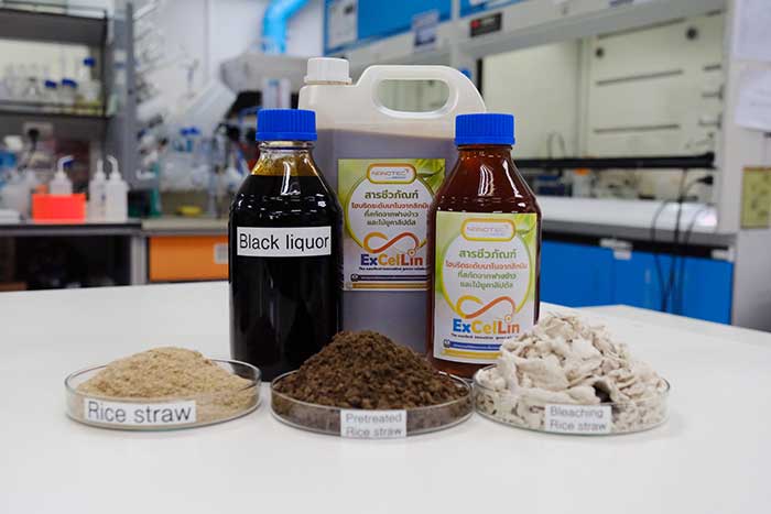 นาโนเทค เปลี่ยนของเหลือจากการเกษตร-รง.กระดาษ สู่ "สารชีวภัณฑ์ไฮบริดระดับนาโน" ยับยั้งเชื้อราก่อโรคในนาข้าว