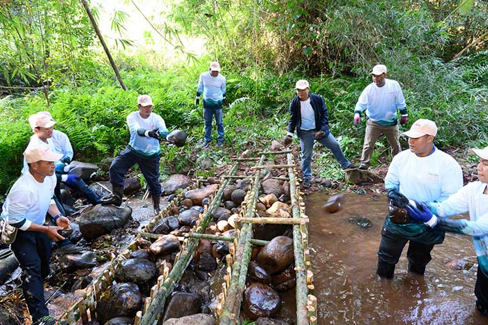 ฝายภูมิปัญญา (คอกหมู) 3 ฝาย