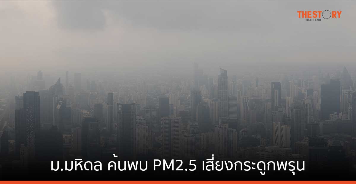 ม.มหิดล ค้นพบ PM2.5 เสี่ยงกระดูกพรุนจากภาวะอักเสบในหนูทดลอง