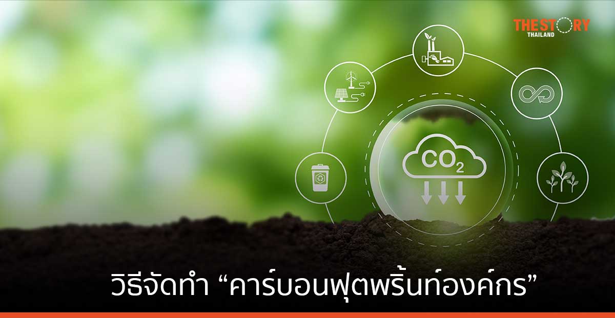 7 ขั้นตอน การคำนวณคาร์บอนฟุตพริ้นท์องค์กร