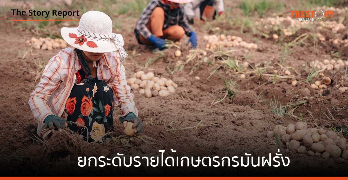 เป๊บซี่โค ชูเกษตรยั่งยืน ตอบโจทย์เกษตรกรมันฝรั่งเงินล้าน