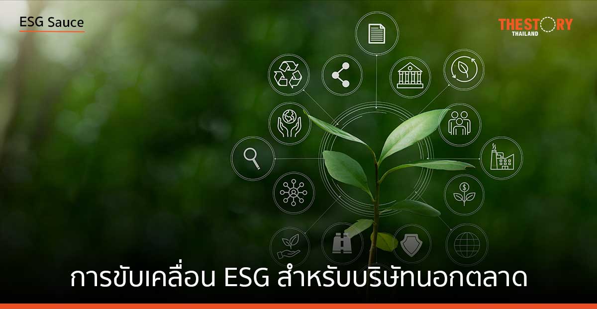 การขับเคลื่อน ESG สำหรับบริษัทนอกตลาด
