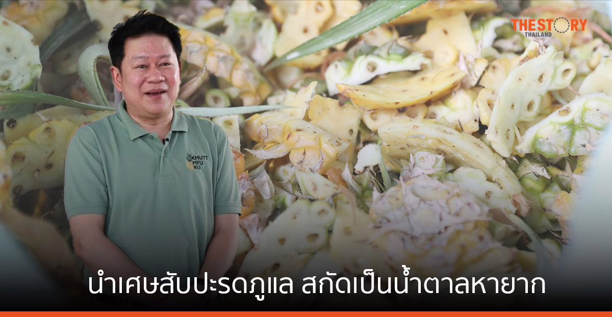 ม.พระจอมเกล้าธนบุรี ชูงานวิจัย แปรรูปเศษสับปะรดภูแล สกัดเป็นน้ำตาลหายาก เพิ่มมูลค่า ช่วยลดขยะอาหาร