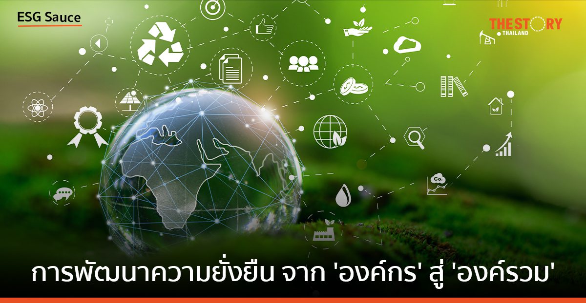 การพัฒนาความยั่งยืนจาก ‘องค์กร’ สู่ ‘องค์รวม’