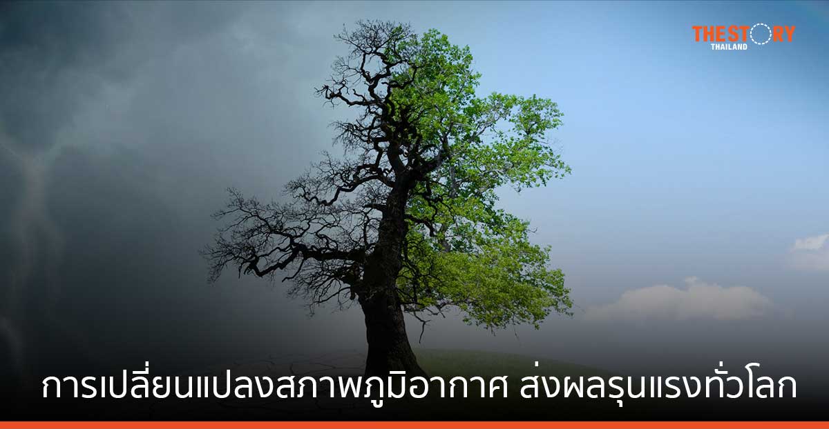สถาบันสิ่งแวดล้อมไทย ย้ำวิกฤติการณ์การเปลี่ยนแปลงสภาพภูมิอากาศเป็นปัญหาที่ส่งผลกระทบอย่างรุนแรงทั่วโลก