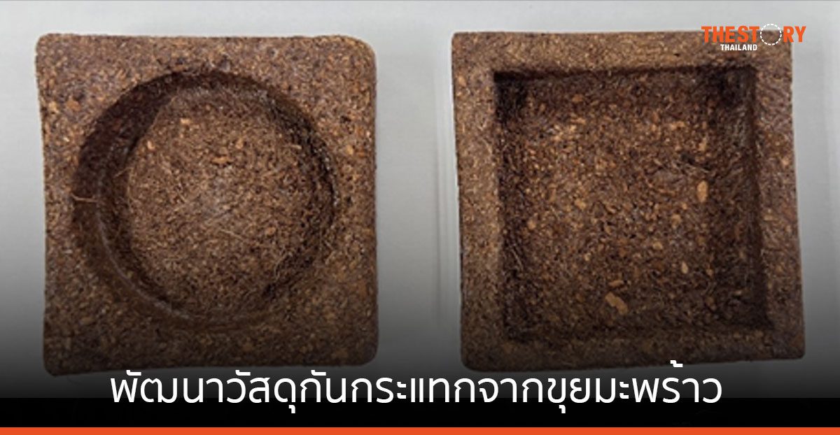 วว. พัฒนาวัสดุกันกระแทกจากขุยมะพร้าวทดแทนโฟม