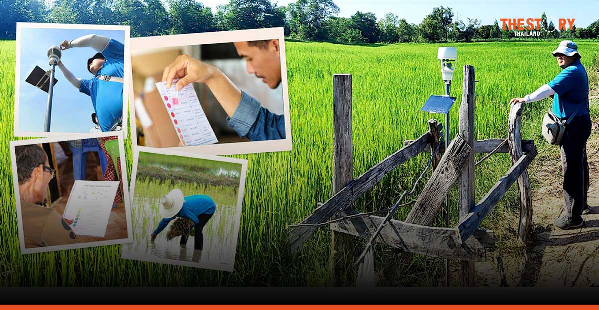 คนอร์เปิดตัวโครงการฟื้นฟูเกษตรกรรม ปฏิรูปห่วงโซ่อุปทานข้าวไทย เพิ่มรายได้เกษตรกร