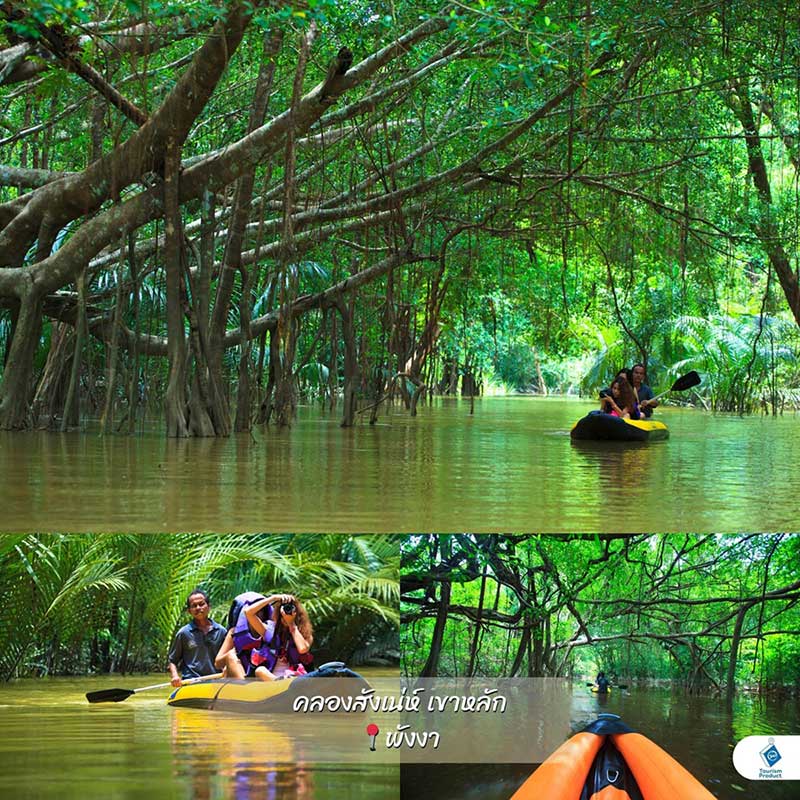 คลองสังเน่ห์ เขาหลัก จ.พังงา