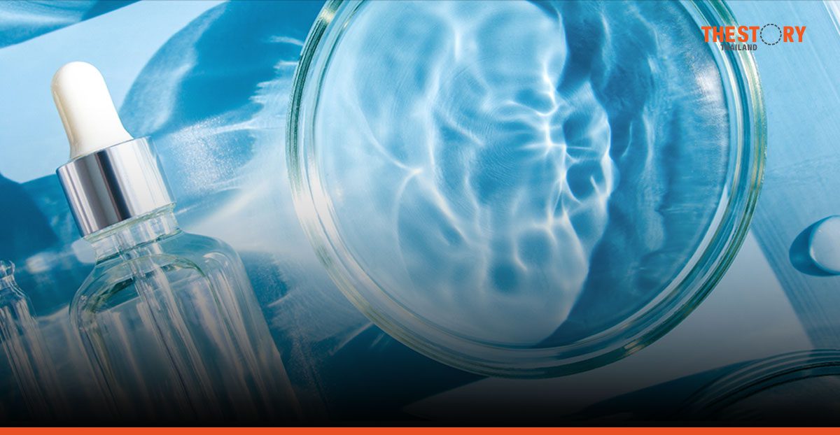 IBM จับมือ L’Oréal สร้างโมเดล AI ต่อยอดการสร้างสรรค์เครื่องสำอางอย่างยั่งยืน