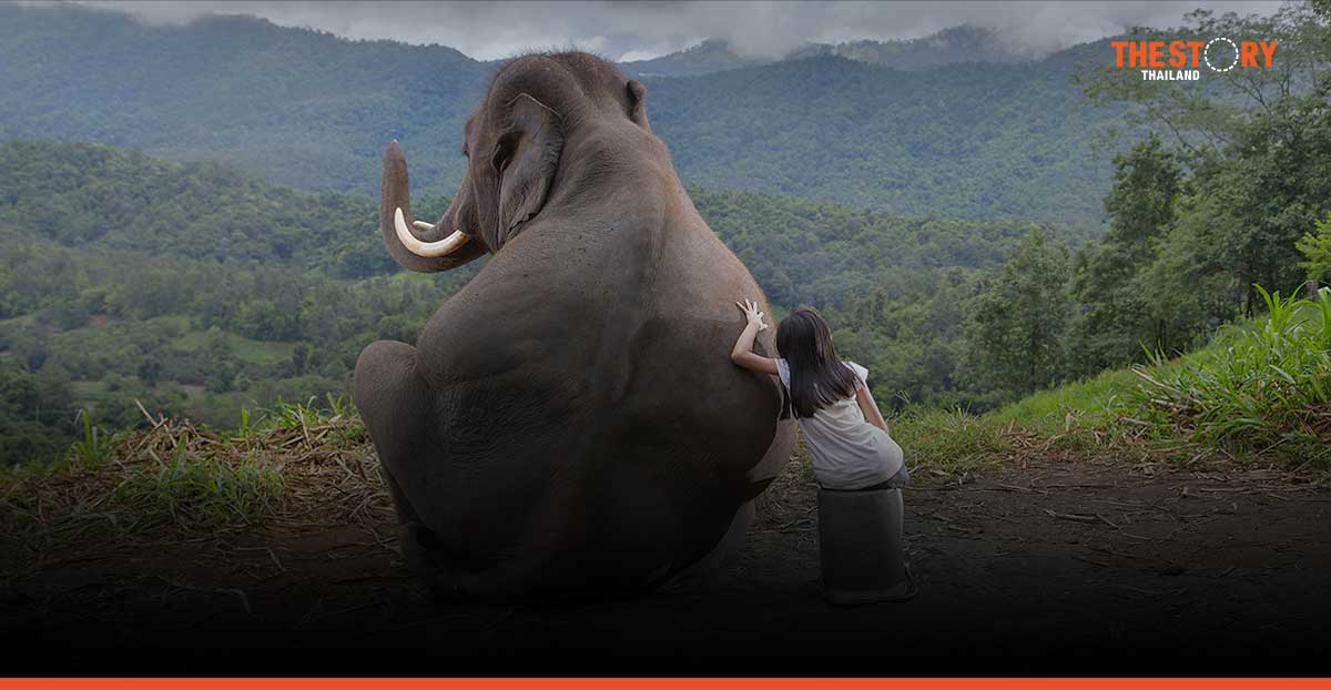 ทรู ส่งโซลูชัน TSEWS ช่วยลดความขัดแย้ง เชื่อมความผูกพันช้างกับคนสู่การอยู่ร่วมกันในยุคดิจิทัล