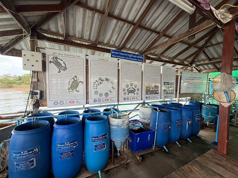 ธนาคารปูม้า