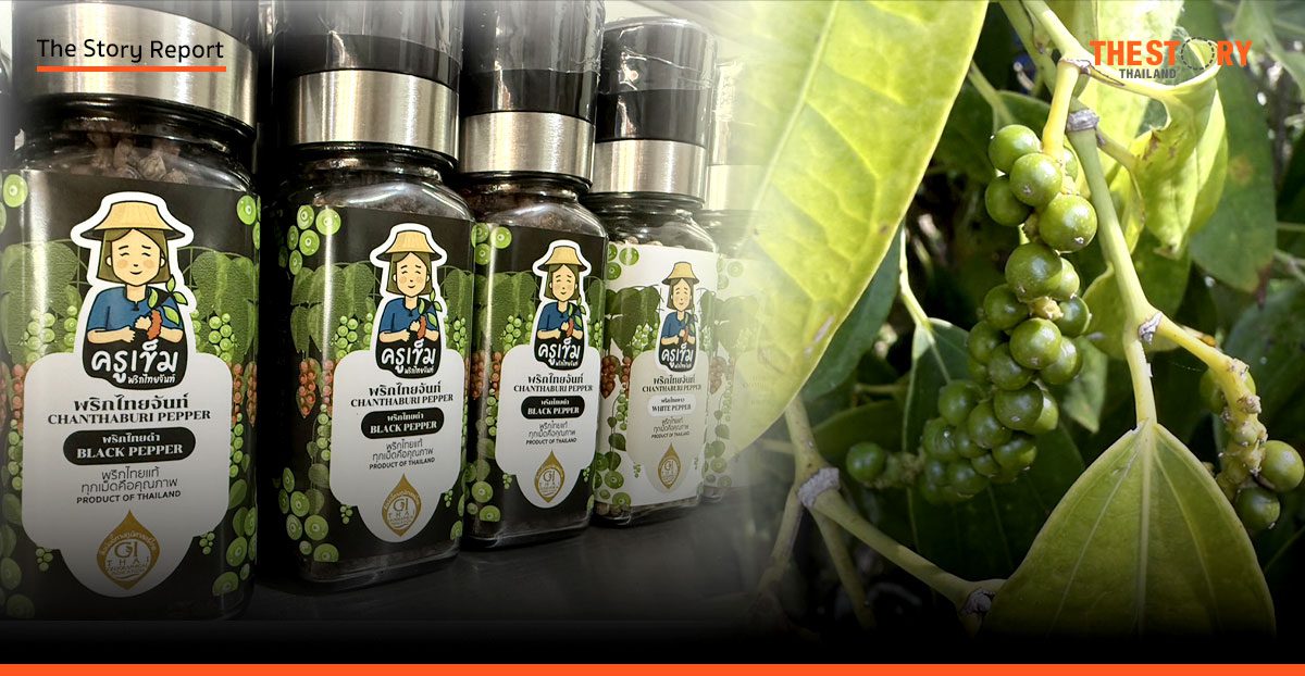 พริกไทยจันท์: จากราชาเครื่องเทศสู่ความภาคภูมิใจแห่ง GI
