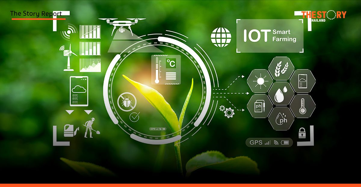 พลิกโฉมเกษตรไทย: นวัตกรรมสีเขียวขับเคลื่อนธุรกิจยุคใหม่สู่ความยั่งยืน