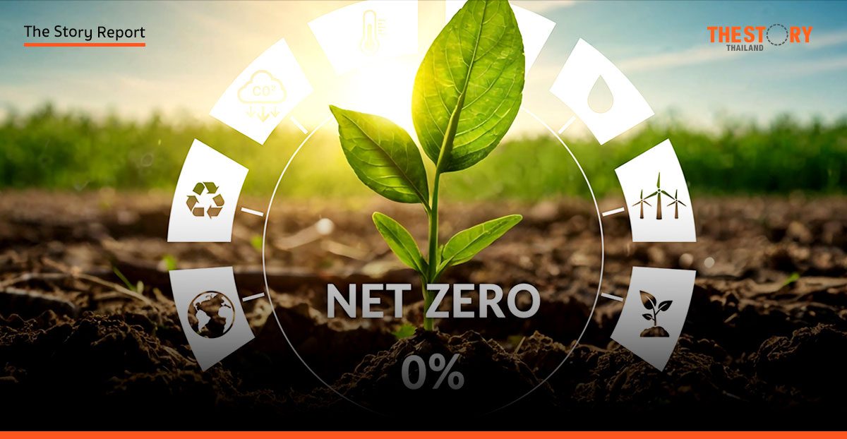 NET ZERO: ทางรอด และทางรุ่งใหม่ในธุรกิจ SME
