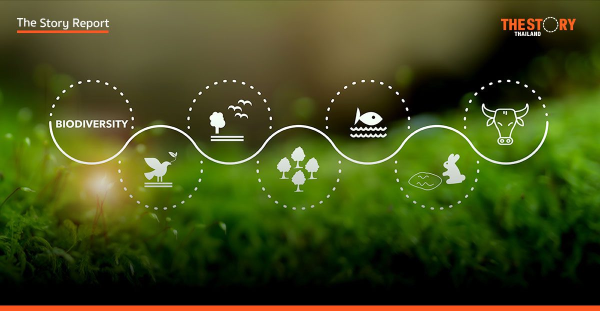 ธุรกิจไทยมุ่งสู่ความหลากหลายทางชีวภาพ สร้างรากฐานความยั่งยืน