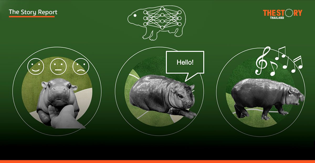 จาก ‘หมูเด้ง’ ซอฟต์พาวเวอร์ สู่ ‘Moodeng AI Challenge’ : วิสัยทัศน์ใหม่ในการใช้ AI เชื่อมโยงมนุษย์และธรรมชาติ