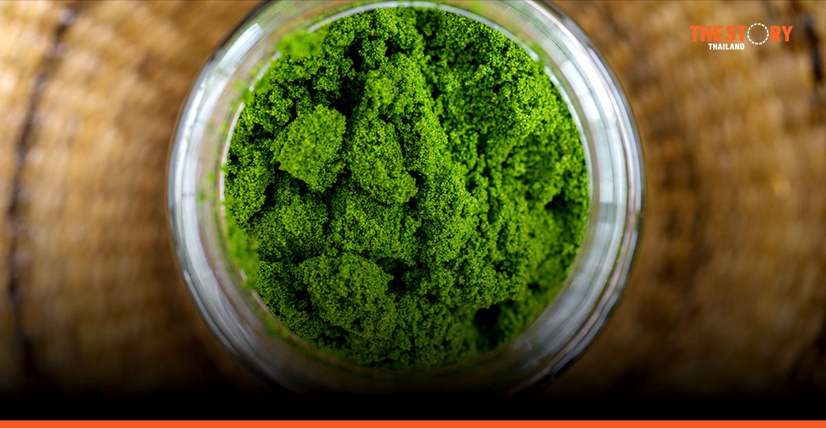 สวทช. โชว์ต้นแบบ ‘เลี้ยงไข่ผำด้วยเทคโนโลยี IoT’ ยกระดับพืชน้ำสู่ ‘ผำพรีเมียม’ ปลอดภัย 100%