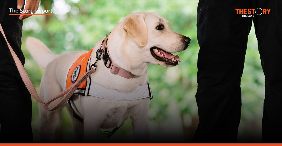 จาก K-9 สู่เยาวชน: ‘เสียงเล็ก ๆ ที่ยิ่งใหญ่’ กับยุทธศาสตร์ ‘อยู่รอดร่วมกัน’