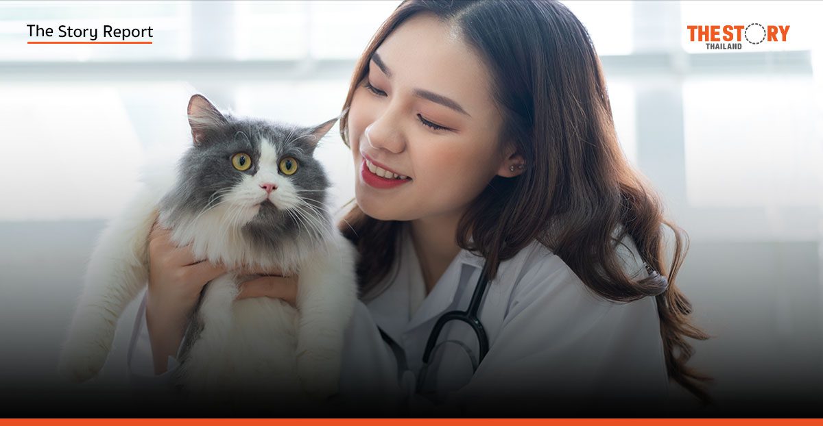 สวนทางยุค Pet Parent? เปิดวิกฤติคุณภาพชีวิตสัตวแพทย์ไทย ที่สังคมต้องรู้