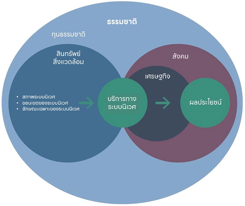 TNFD: กรอบการเปิดเผยข้อมูลความยั่งยืนเกี่ยวกับธรรมชาติ
