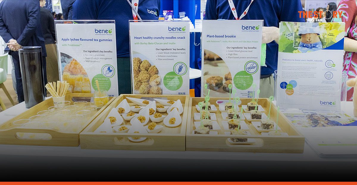 BENEO คว้าอย. ไทยรายแรกไฟเขียวคุณประโยชน์ 'พรีไบโอติก' ในใยอาหารจากรากชิโครี
