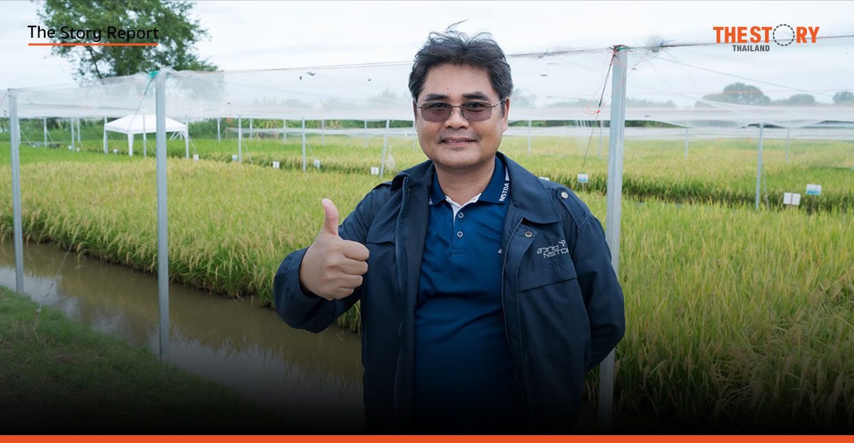 พลิกเกมข้าวไทย ส่ง ‘พันธุ์หอมสยาม’ สู้ตลาดโลก ลดต้นทุนส่งออก-เพิ่มรายได้ชาวนา
